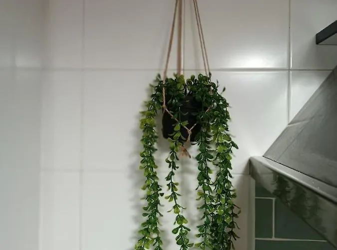 At Plaza Del Duque Apartman *